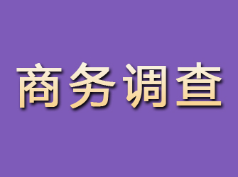 桐城商务调查